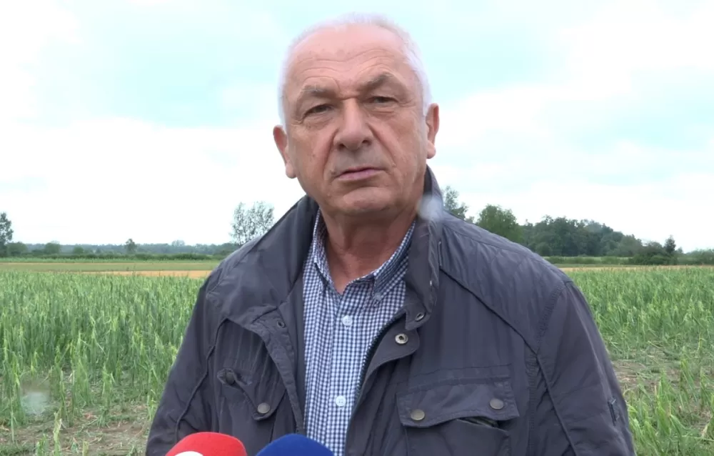ŠTETE STOPOSTOTNE - Ratari očajni, jaka tuča uništila proljetne usjeve, najviše stradali kukuruz i soja
