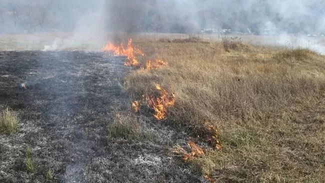 Požega.eu | Vatrogasci na terenu: Unatoč zabrani paljenja vatre na otvorenom, pojedinci spaljuju suhu travu