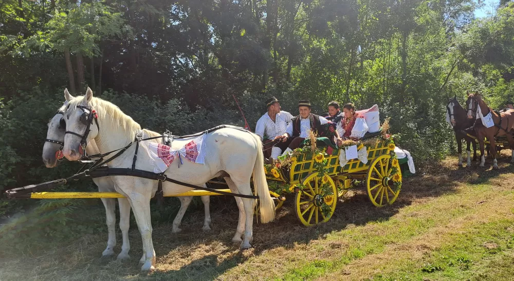 ʼAlaj volim ići u svatoveʼ - po treći put...