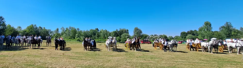 ʼAlaj volim ići u svatoveʼ - po treći put...