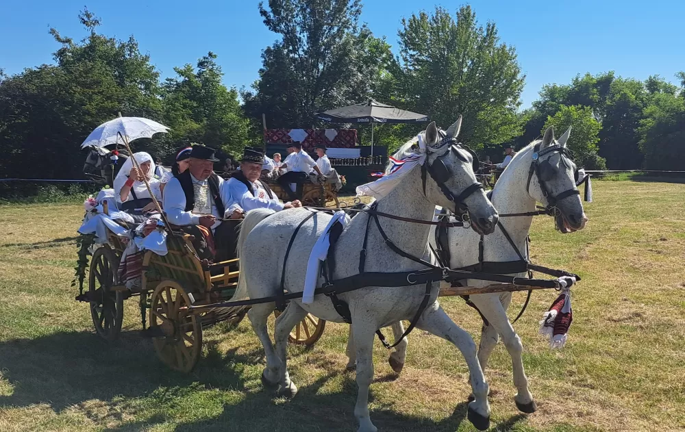 ʼAlaj volim ići u svatoveʼ - po treći put...