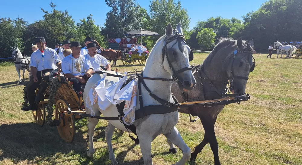ʼAlaj volim ići u svatoveʼ - po treći put...
