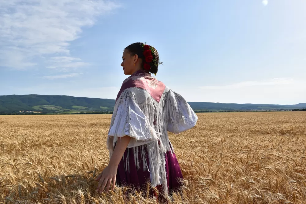 Požega.eu | Kutjevo d.d. među šest najvećih pšeničara u našoj zemlji