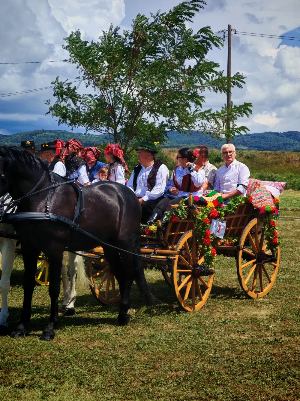 ʼNe idem iz Slavonijeʼ - tradicionalna manifestacija u Lužanima koja je okupila zaljubljenike u konje, slavonsku baštinu i običaje 