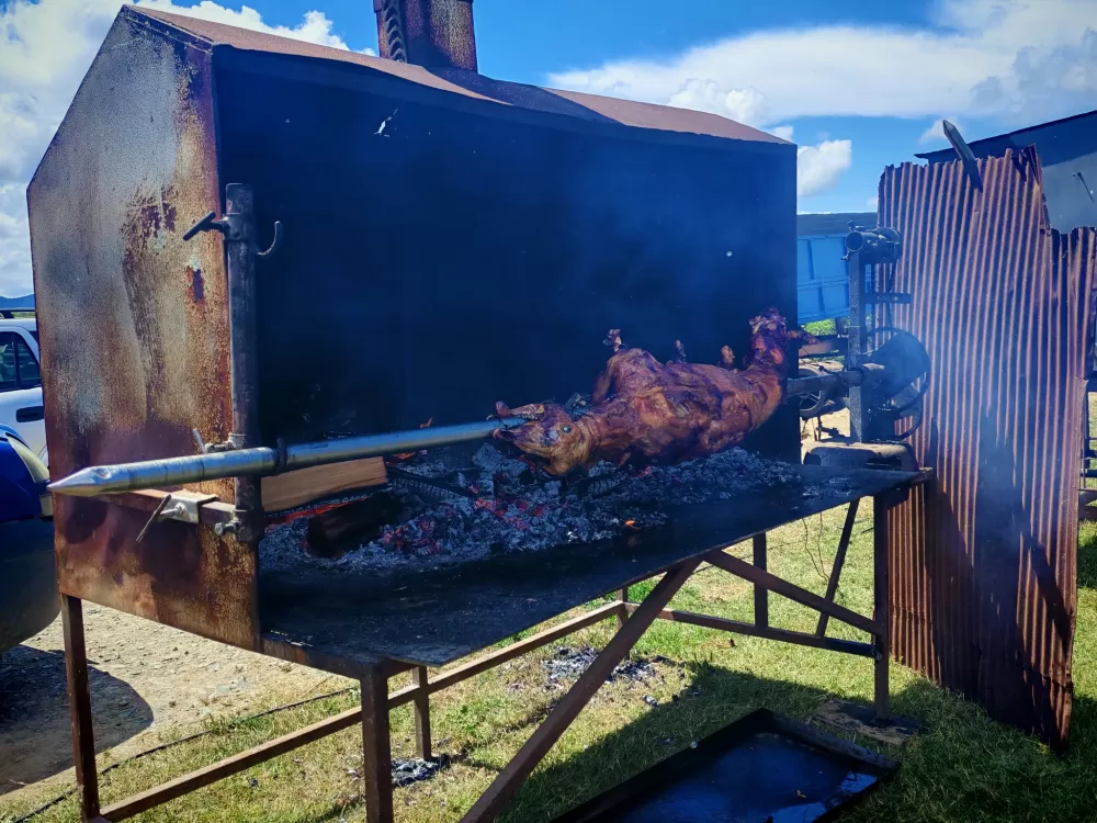 ʼNe idem iz Slavonijeʼ - tradicionalna manifestacija u Lužanima koja je okupila zaljubljenike u konje, slavonsku baštinu i običaje 