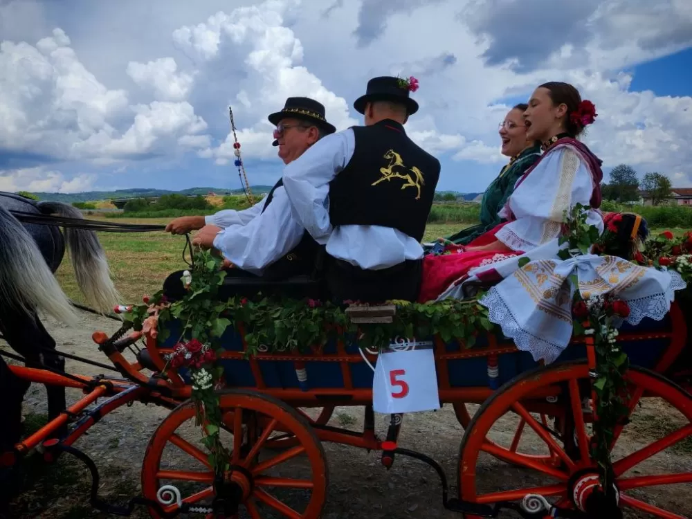 ʼNe idem iz Slavonijeʼ - tradicionalna manifestacija u Lužanima koja je okupila zaljubljenike u konje, slavonsku baštinu i običaje 