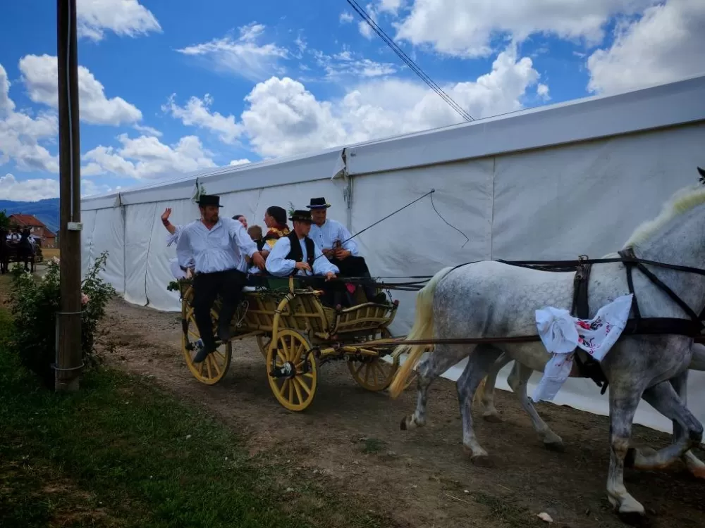 ʼNe idem iz Slavonijeʼ - tradicionalna manifestacija u Lužanima koja je okupila zaljubljenike u konje, slavonsku baštinu i običaje 