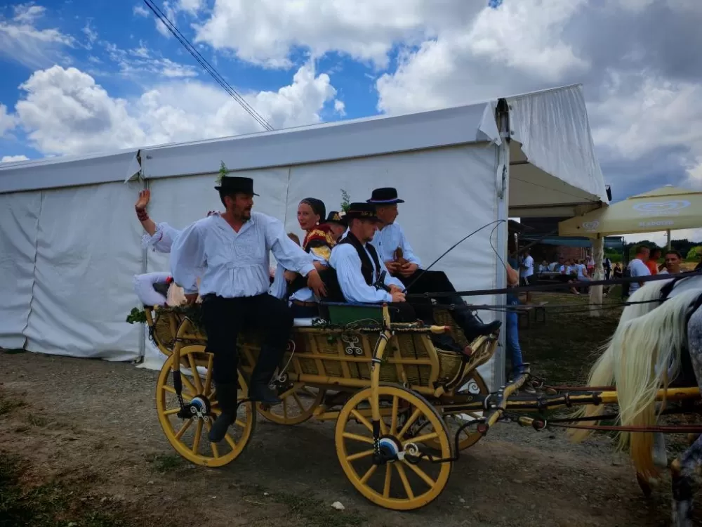 ʼNe idem iz Slavonijeʼ - tradicionalna manifestacija u Lužanima koja je okupila zaljubljenike u konje, slavonsku baštinu i običaje 