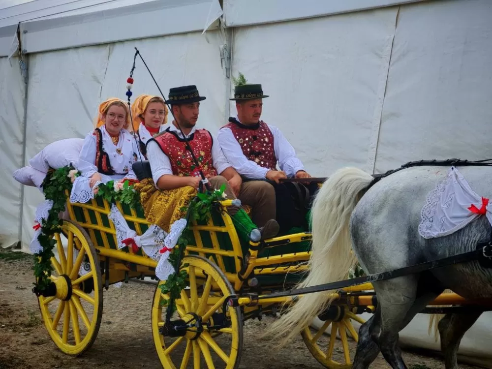 ʼNe idem iz Slavonijeʼ - tradicionalna manifestacija u Lužanima koja je okupila zaljubljenike u konje, slavonsku baštinu i običaje 