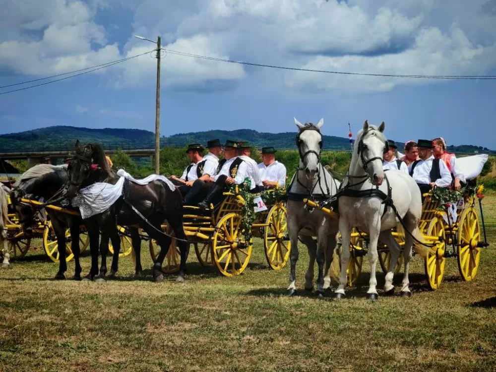 ʼNe idem iz Slavonijeʼ - tradicionalna manifestacija u Lužanima koja je okupila zaljubljenike u konje, slavonsku baštinu i običaje 
