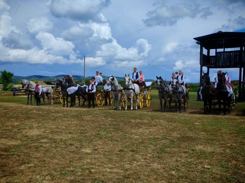 ʼNe idem iz Slavonijeʼ - tradicionalna manifestacija u Lužanima koja je okupila zaljubljenike u konje, slavonsku baštinu i običaje 