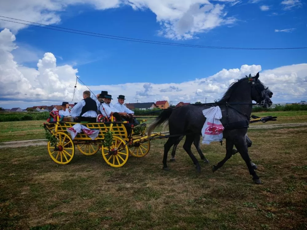 ʼNe idem iz Slavonijeʼ - tradicionalna manifestacija u Lužanima koja je okupila zaljubljenike u konje, slavonsku baštinu i običaje 