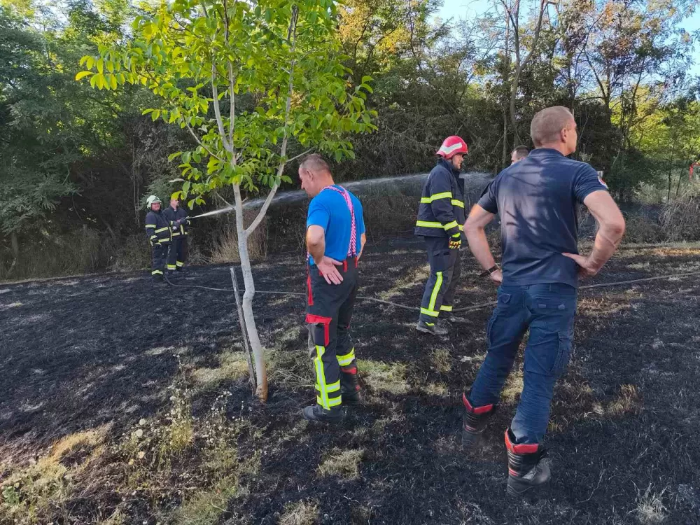 Proširila se vatra s divlje deponije u Češljakovcima: Izgorio dio mlađeg nasada oraha i zaštitna ograda