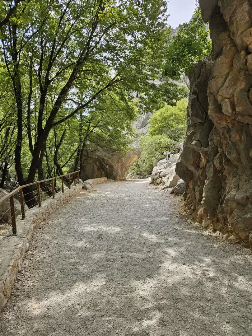 Kutjevački planinari nastavili avanture od Velebita do švicarskih Alpa