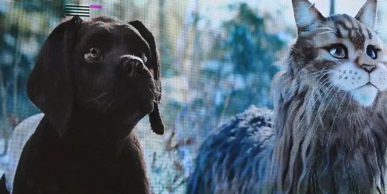 Na Trgu bećarca prikazan francuski pustolovni film „Kao pas i mačka“