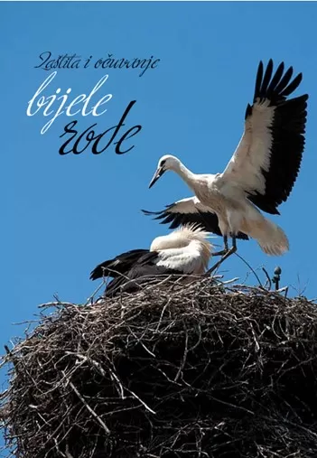 SB Online | Zaštita i očuvanje bijele rode, ali i posavskoga sela!