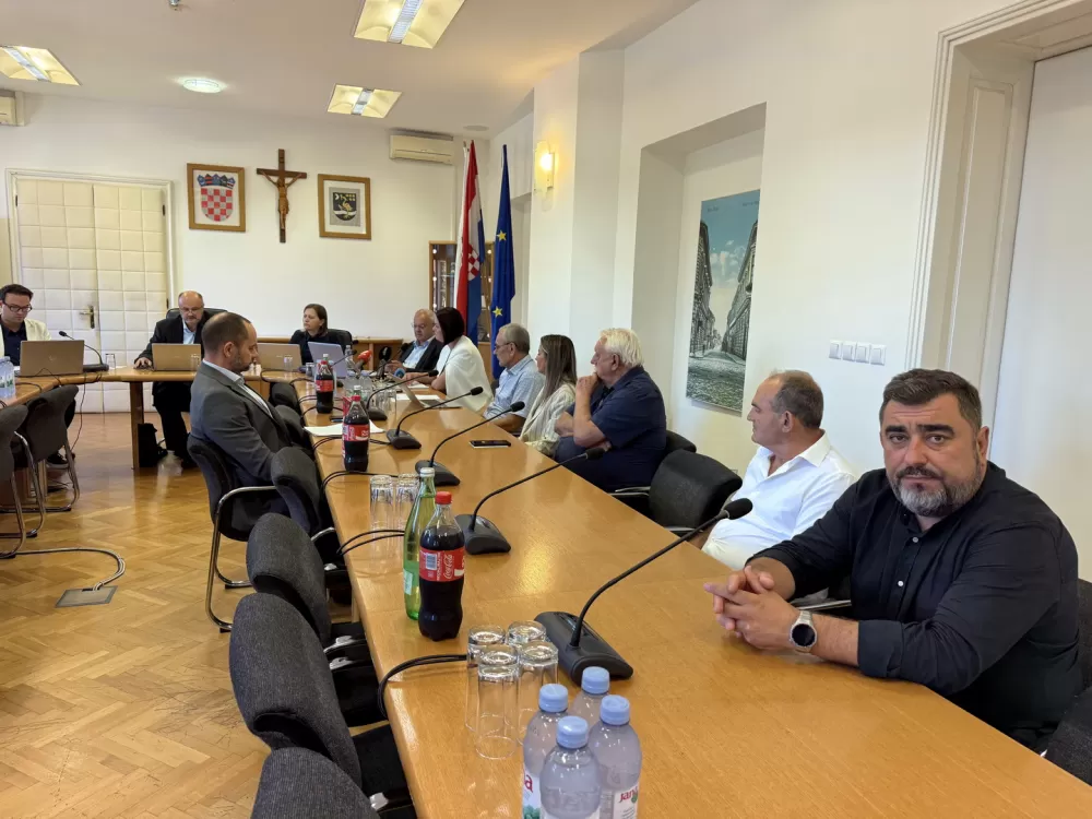 Održana 3. Izvanredna sjednica Gradskog vijeća Grada Slavonskog Broda - donesene statusne promjene ustanova dječjih vrtića 