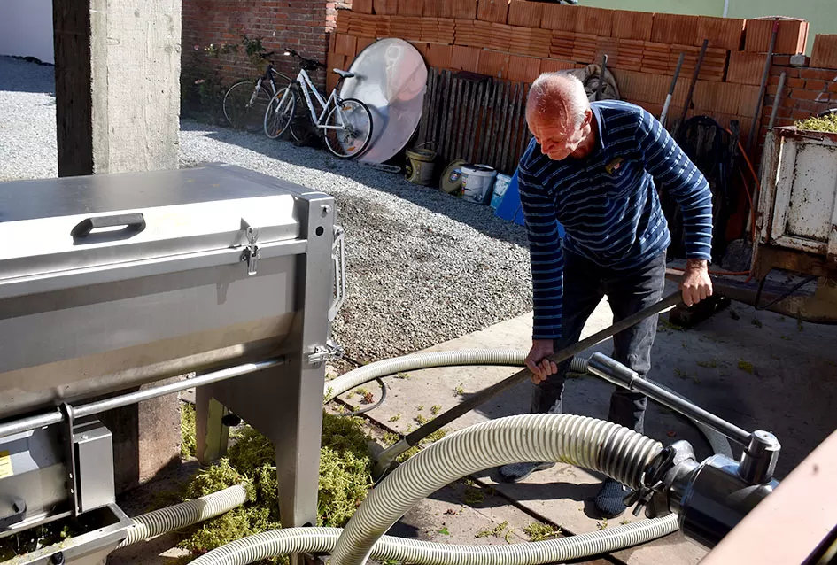 Počela berba graševine vinogradima kutjevačke obitelji Čamak 