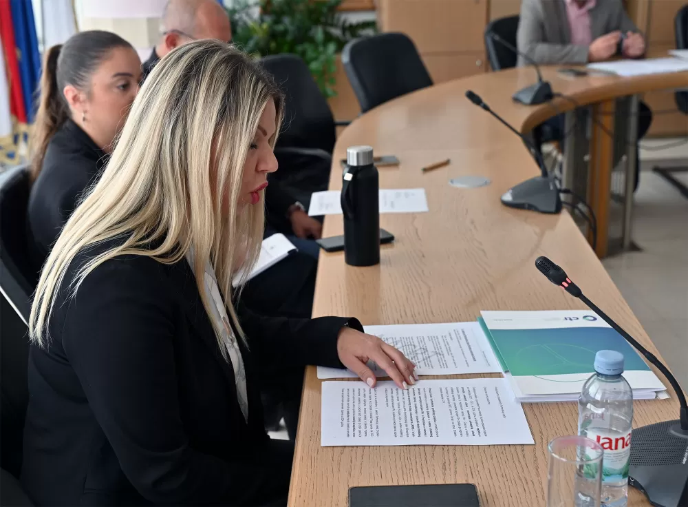 Razmatrane teme od vitalnog značaja za budući razvoj Brodsko-posavske županije na sjednici Partnerskog vijeća 
