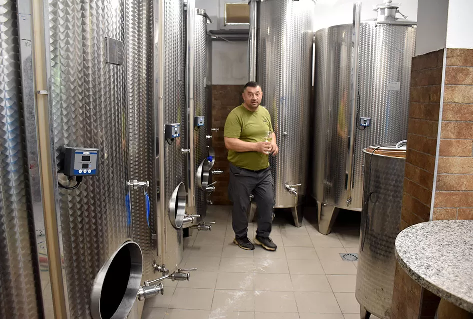 Pjesmom uz tambure Škoro počeo berbu vinograda u Mitrovcu