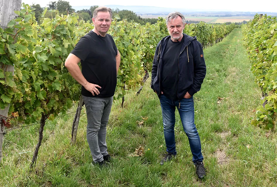 Pjesmom uz tambure Škoro počeo berbu vinograda u Mitrovcu