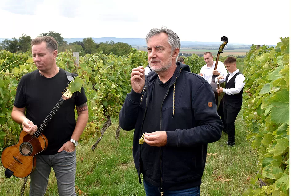 Pjesmom uz tambure Škoro počeo berbu vinograda u Mitrovcu