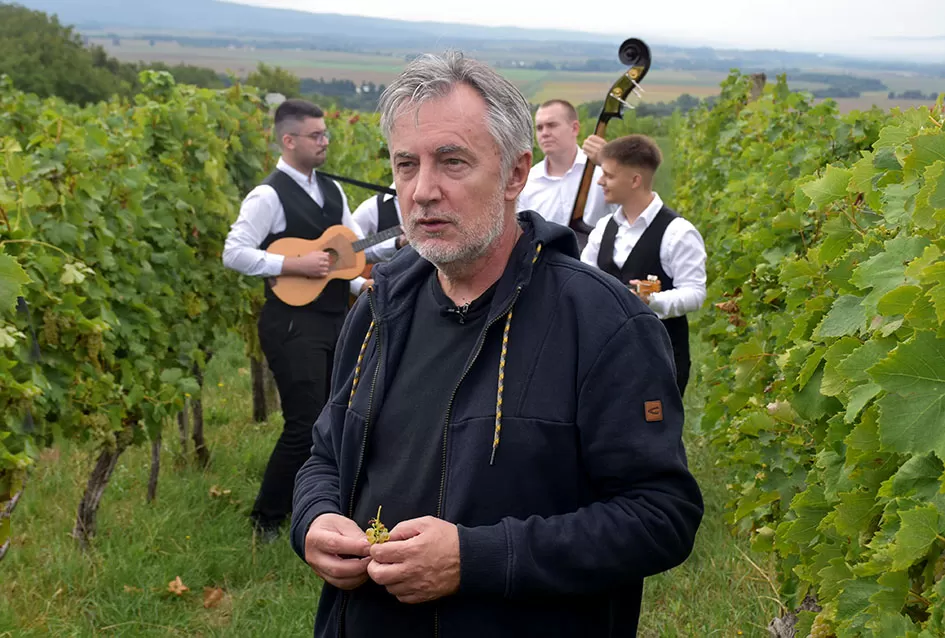 Pjesmom uz tambure Škoro počeo berbu vinograda u Mitrovcu