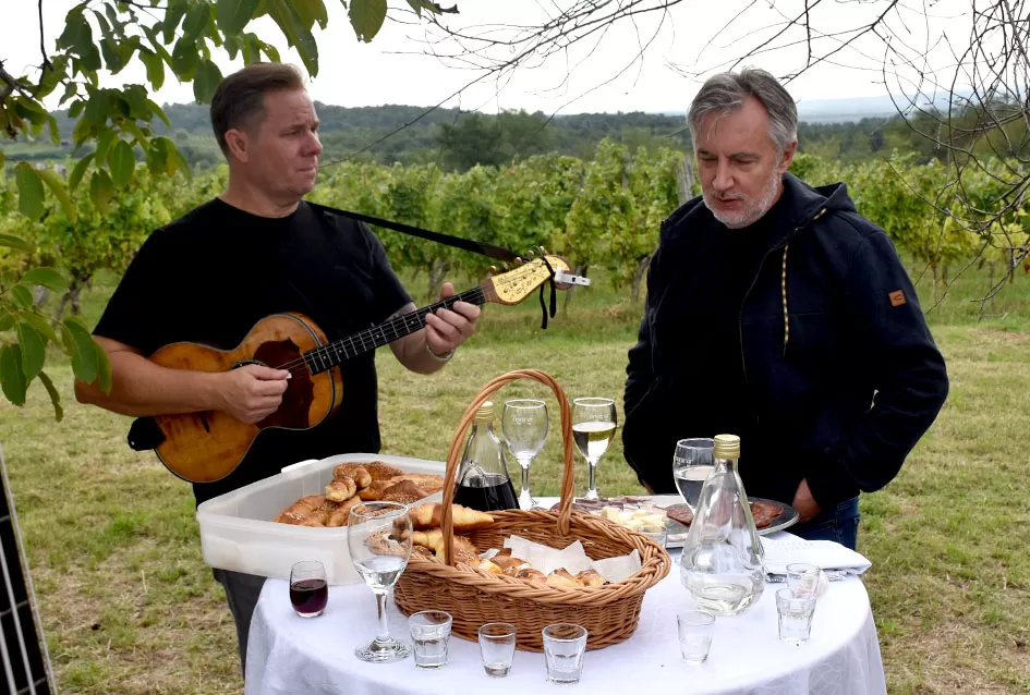 Pjesmom uz tambure Škoro počeo berbu vinograda u Mitrovcu