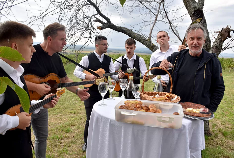 Pjesmom uz tambure Škoro počeo berbu vinograda u Mitrovcu