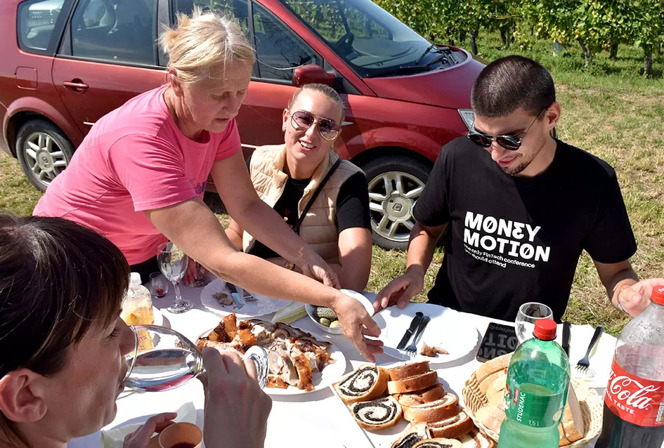 Pjesmom uz tambure Škoro počeo berbu vinograda u Mitrovcu