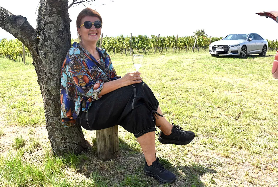 Pjesmom uz tambure Škoro počeo berbu vinograda u Mitrovcu