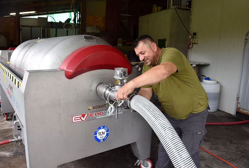 Pjesmom uz tambure Škoro počeo berbu vinograda u Mitrovcu