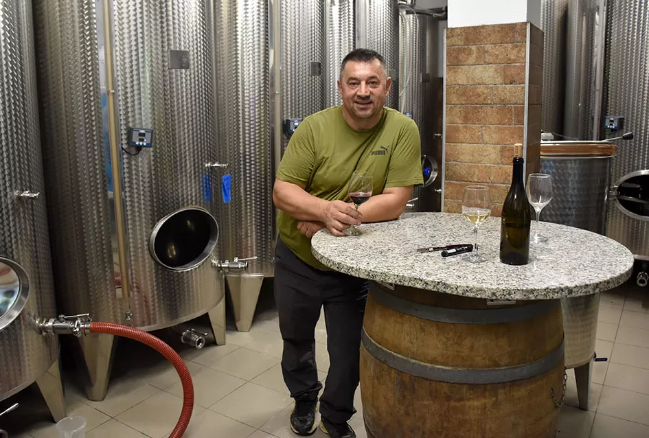 Pjesmom uz tambure Škoro počeo berbu vinograda u Mitrovcu