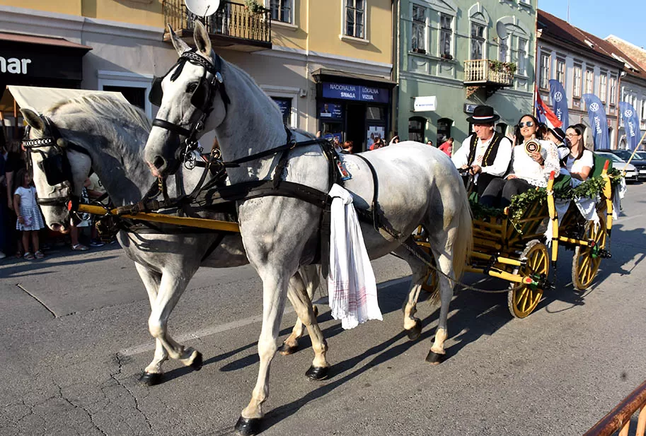 (FOTOGALERIJA) SVEČANA FESTIVALSKA POVORKA ULICAMA GRADA: Pokazana ljepta baštine koja krasi Požešku kotlinu