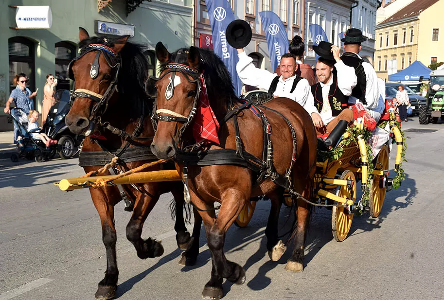 (FOTOGALERIJA) SVEČANA FESTIVALSKA POVORKA ULICAMA GRADA: Pokazana ljepta baštine koja krasi Požešku kotlinu