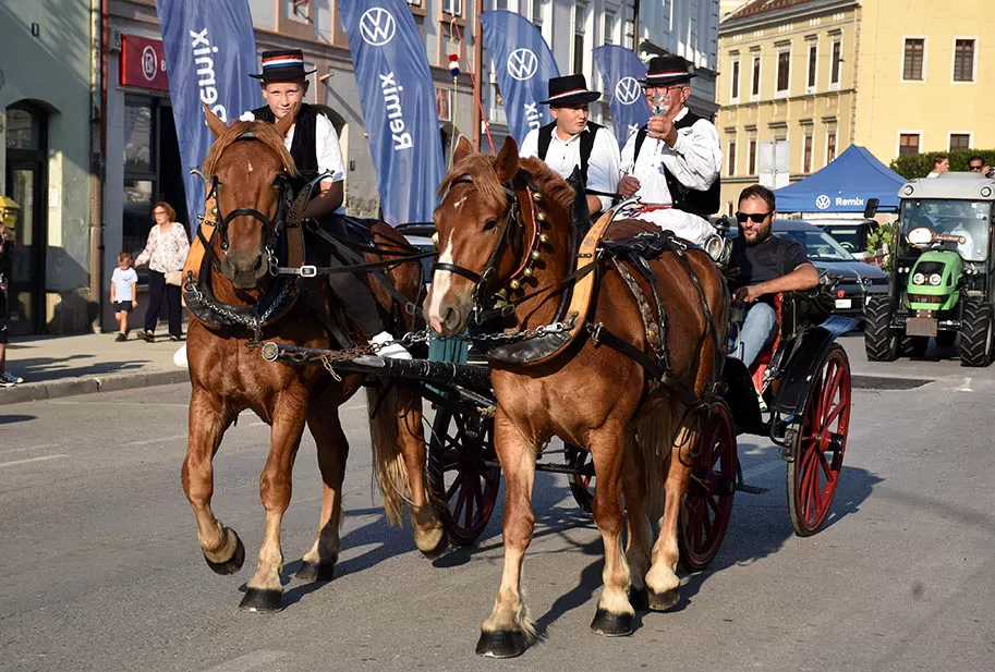 (FOTOGALERIJA) SVEČANA FESTIVALSKA POVORKA ULICAMA GRADA: Pokazana ljepta baštine koja krasi Požešku kotlinu