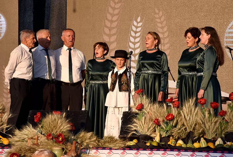 (FOTOGALERIJA) SVEČANA FESTIVALSKA POVORKA ULICAMA GRADA: Pokazana ljepta baštine koja krasi Požešku kotlinu