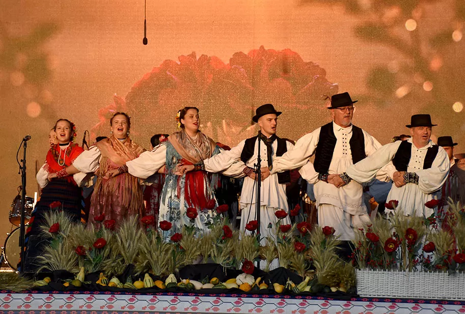 (FOTOGALERIJA) SVEČANA FESTIVALSKA POVORKA ULICAMA GRADA: Pokazana ljepta baštine koja krasi Požešku kotlinu