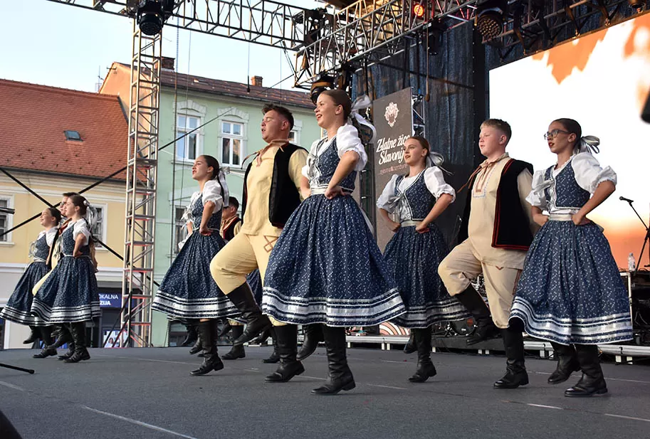 (FOTOGALERIJA) SVEČANA FESTIVALSKA POVORKA ULICAMA GRADA: Pokazana ljepta baštine koja krasi Požešku kotlinu