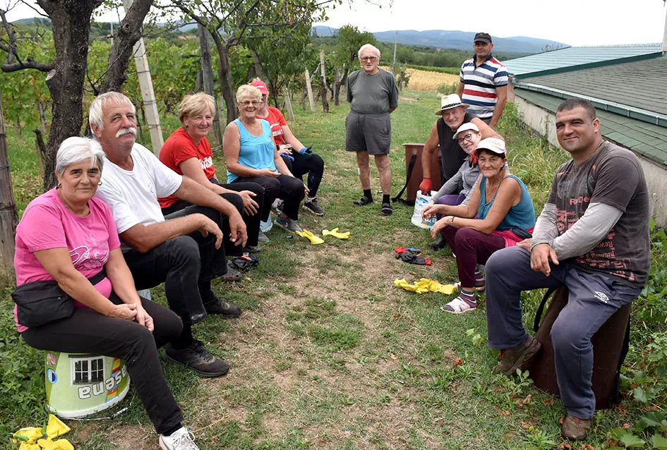 Berba, razlog za okupljanje obitelji Plovanić i Vukosavljević: Iz SAD-a stigao i sin Zoran