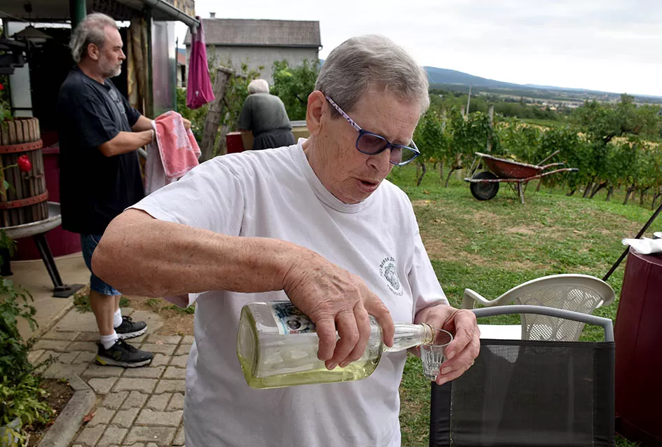 Berba, razlog za okupljanje obitelji Plovanić i Vukosavljević: Iz SAD-a stigao i sin Zoran