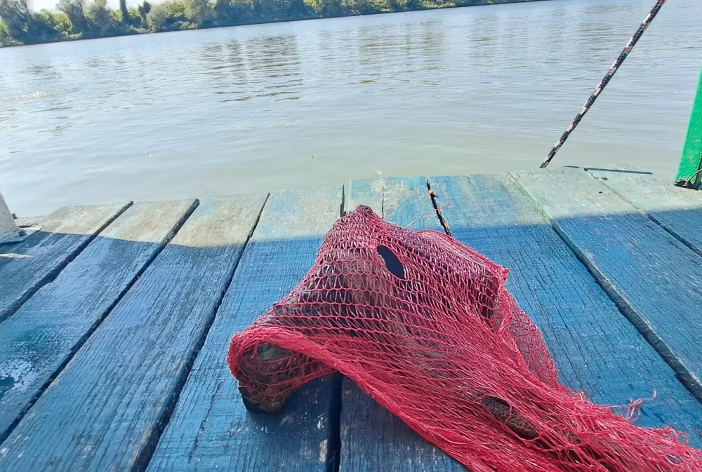 Ekološka akcija „Sava 2025.“ okupila ronioce i volontere na Poloju