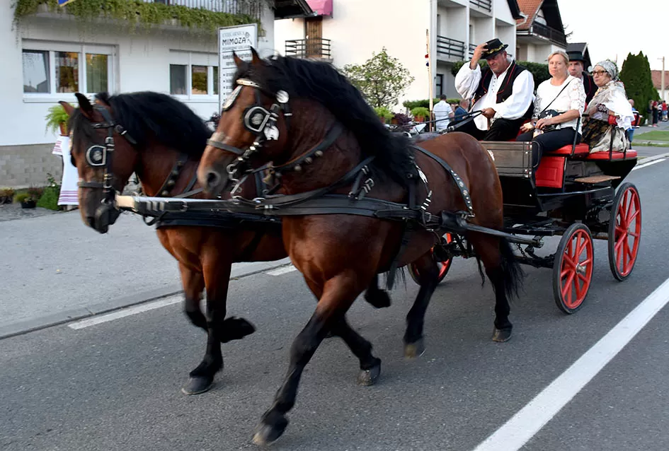 (FOTOGALERIJA) Bogatu smotru nakon nastupa desetak folklornih skupina začinili davorski tamburaši Satir