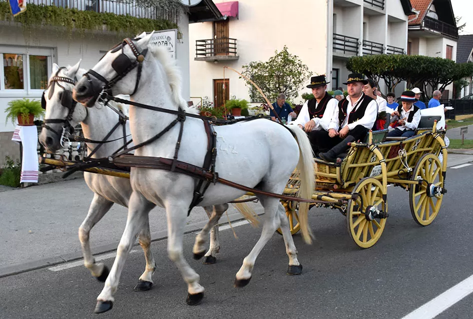 (FOTOGALERIJA) Bogatu smotru nakon nastupa desetak folklornih skupina začinili davorski tamburaši Satir