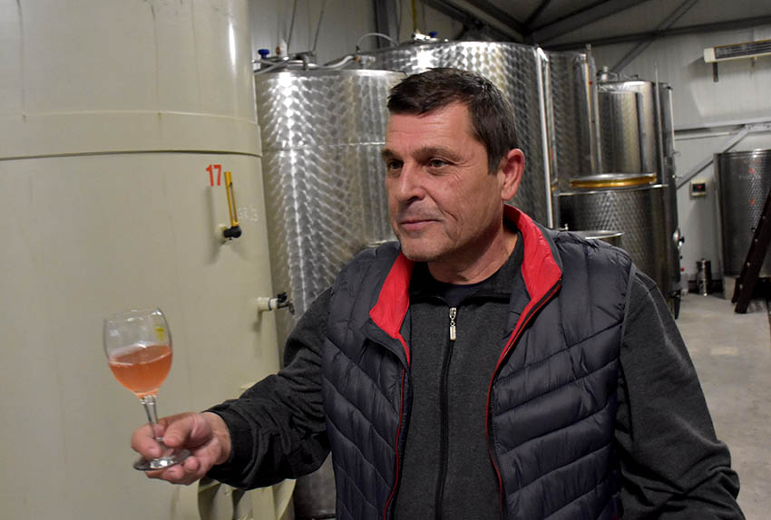 U prigodi Martinja uz domaće i brojni ljubitelji vina iz inozemstva u podrumima kutjevačkih vinara [FOTO]