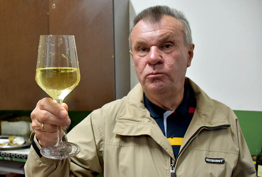 U prigodi Martinja uz domaće i brojni ljubitelji vina iz inozemstva u podrumima kutjevačkih vinara [FOTO]