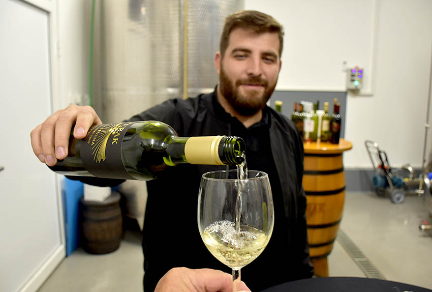 U prigodi Martinja uz domaće i brojni ljubitelji vina iz inozemstva u podrumima kutjevačkih vinara [FOTO]