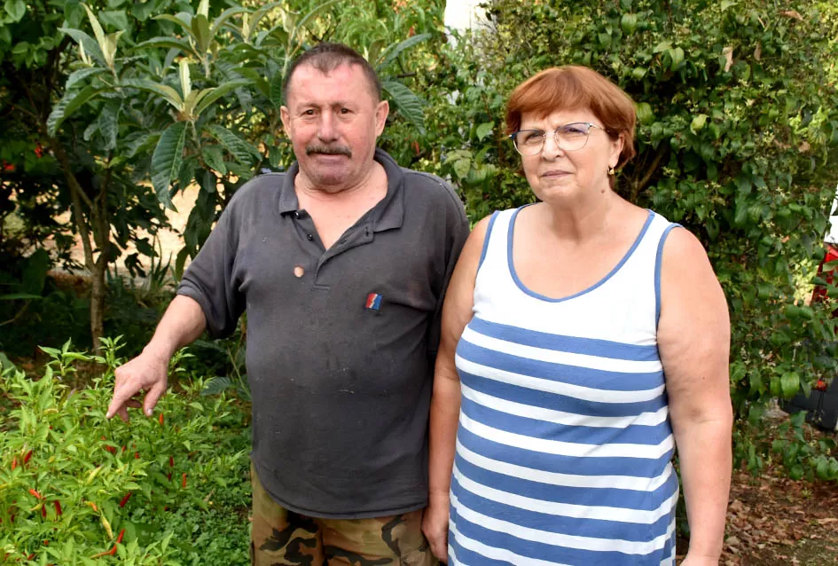 Graševina s 360 metara nadmorske visine Požežanina Branka Smolića 