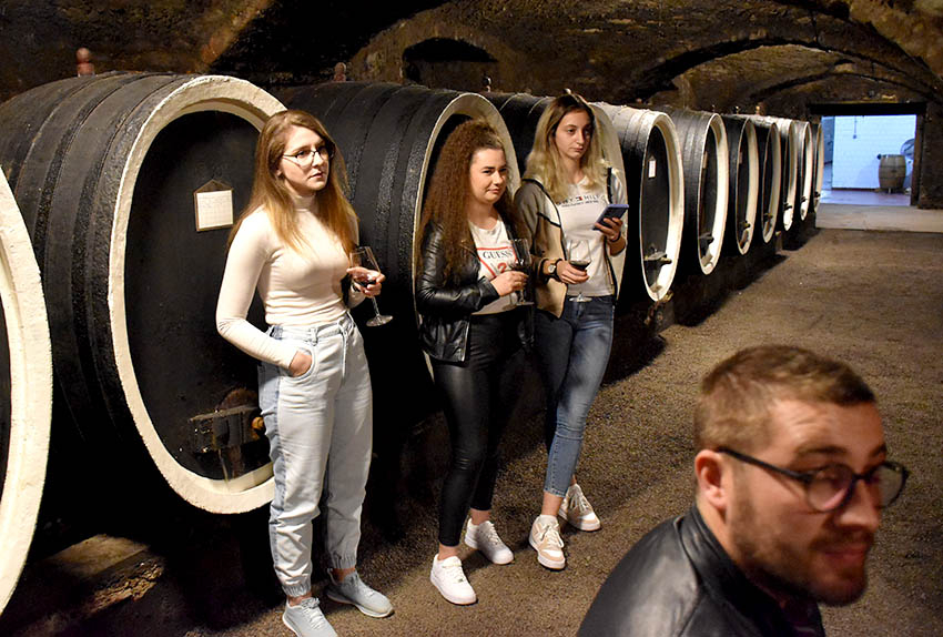U prigodi Martinja uz domaće i brojni ljubitelji vina iz inozemstva u podrumima kutjevačkih vinara [FOTO]