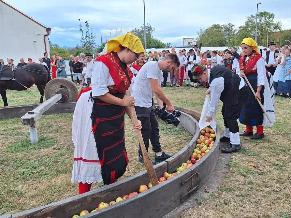 SB Online | [FOTOGALERIJA] Sve onako kako se to nekad radilo: 44. Ižmača u Beravcima